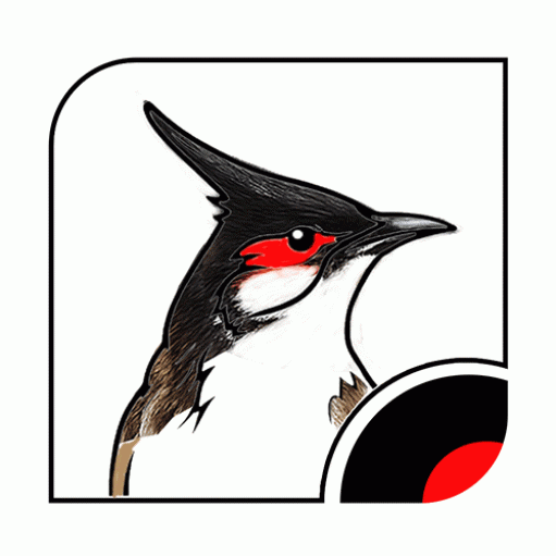 BULBUL INVESTMENT